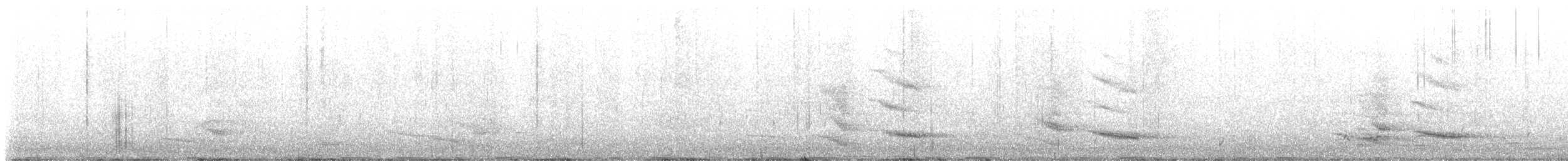 Flötenkrähenstar [tibicen-Gruppe] - ML619663112