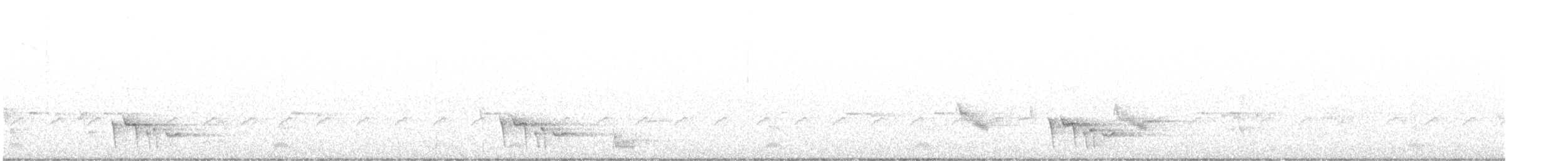 Méliphage grisâtre - ML619663125