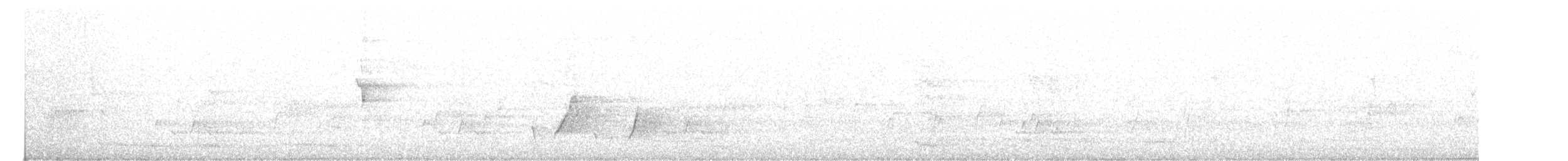 Streifenpanthervogel - ML619663782