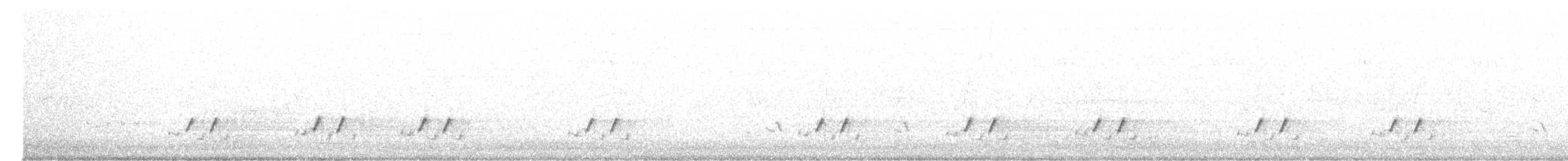 Streifenpanthervogel - ML619664113