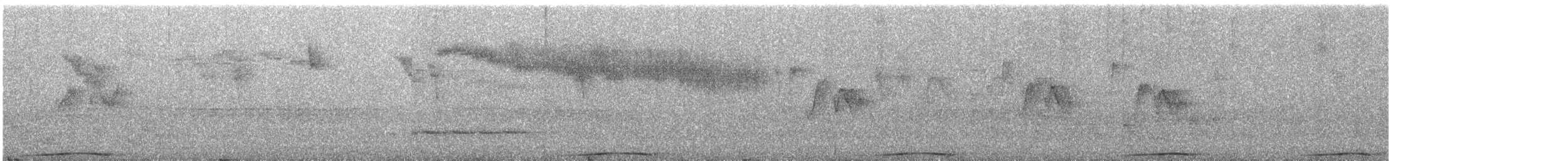 Phasianelle onchall - ML619664402