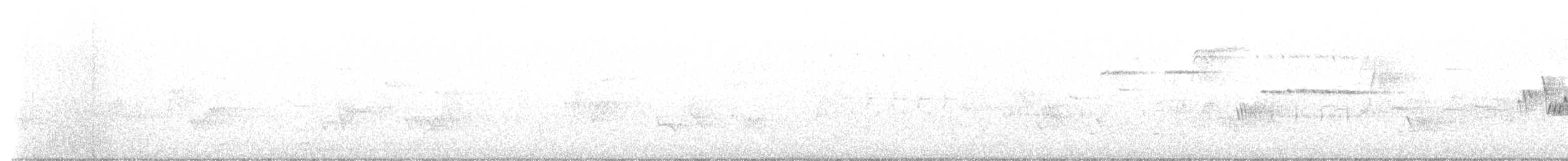 Черногорлая хвойница - ML619665037