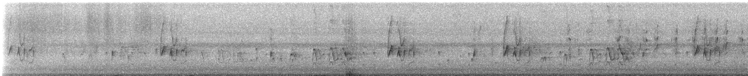 Schmalschnabel-Königstyrann - ML619665279