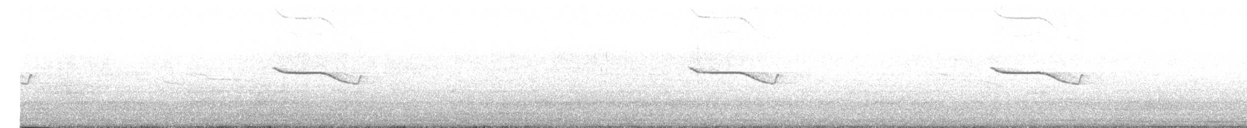 Breitspiegel-Nachtschwalbe - ML619665439