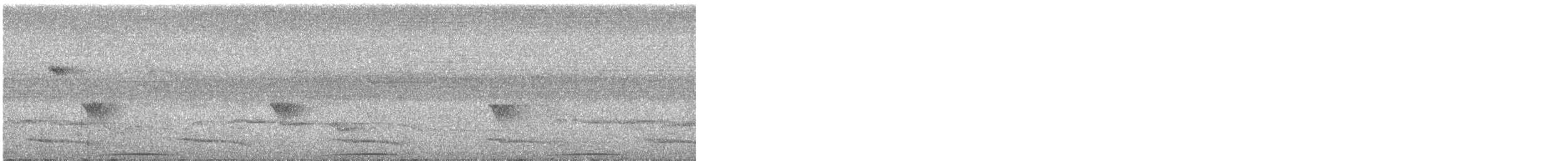 Phasianelle onchall - ML619665658