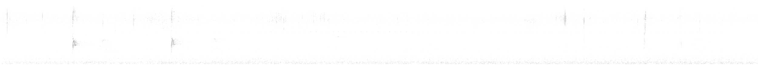 strnadec bělohrdlý - ML619666246