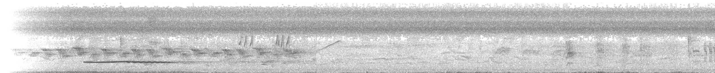 Little Tinamou - ML619667069