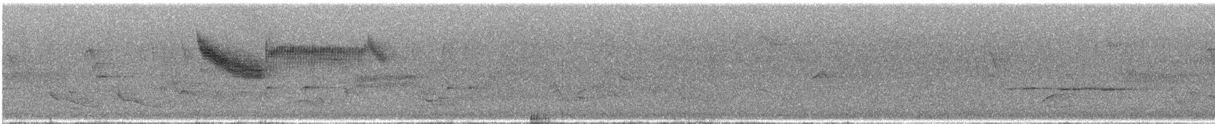 Голубокрылая червеедка - ML619667372