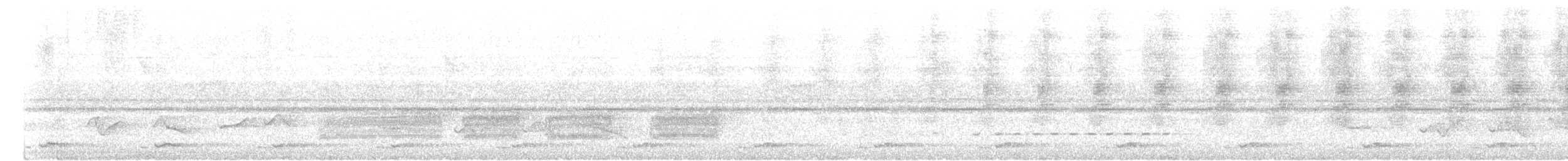Бородастик золотогорлий (підвид ramsayi) - ML619667612