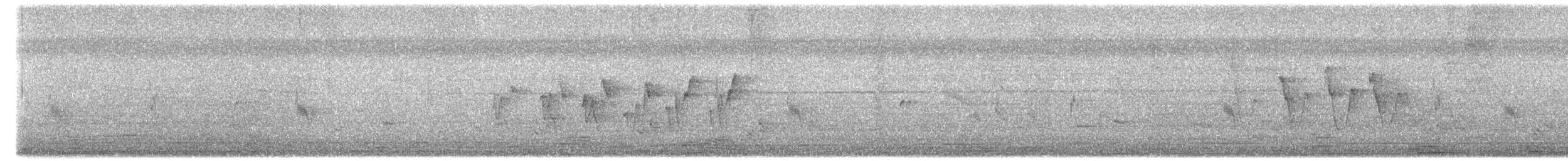 budníček severní - ML619668003