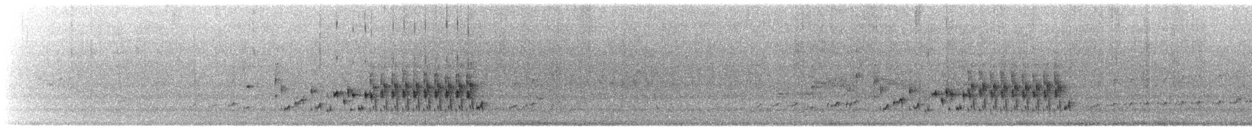 Troglodyte des marais - ML619668971