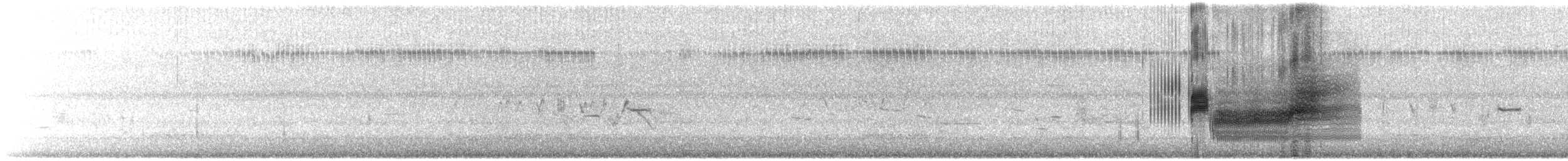 Приморская овсянка-барсучок - ML619668973