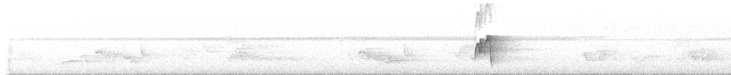 חטפית ירקרקה - ML619669104