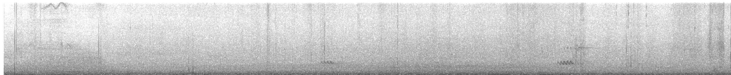 黑領椋鳥 - ML619669216