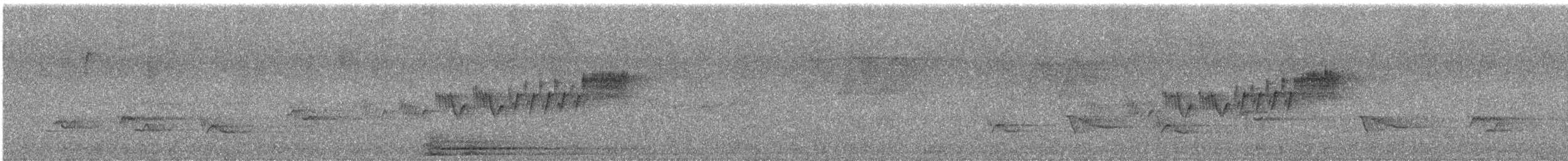 Paruline azurée - ML619669469