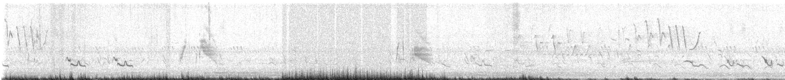 חטפית ער - ML619671027