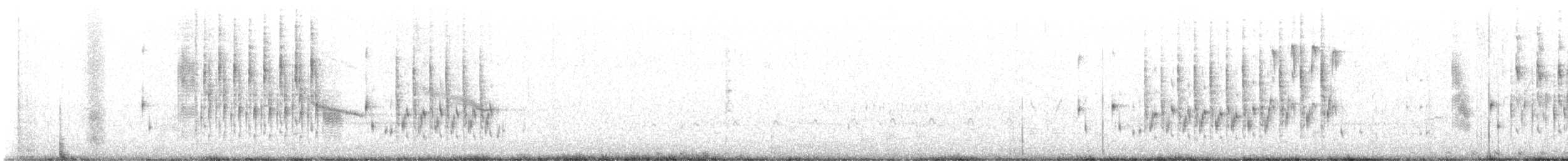 pygmérørdrum - ML619672338