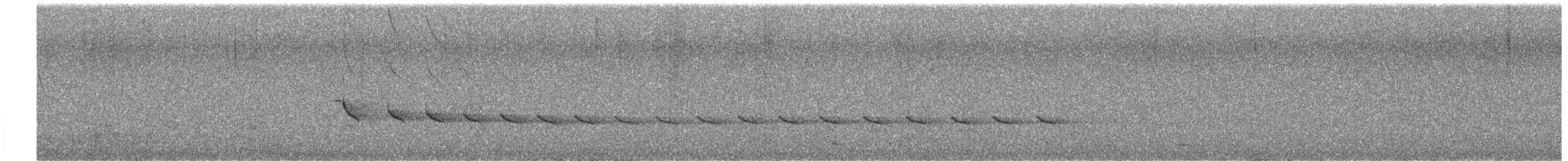 Королаз плямистобокий - ML619673579