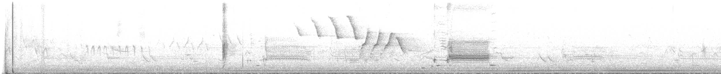 סבכון צהוב - ML619674631