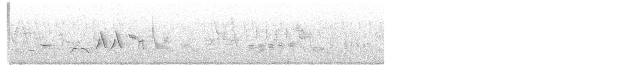 ゴマフスズメ（schistacea グループ） - ML619674714