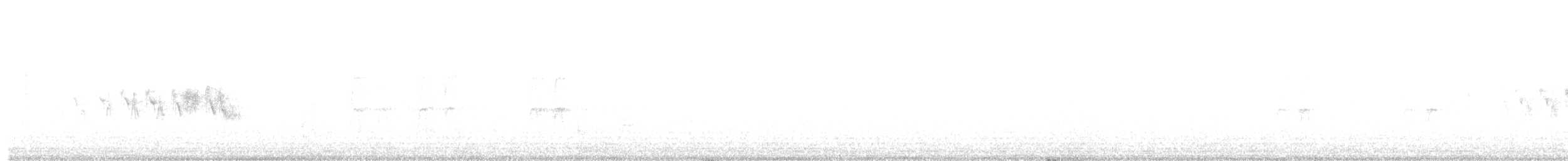 Black-throated Gray Warbler - ML619675780