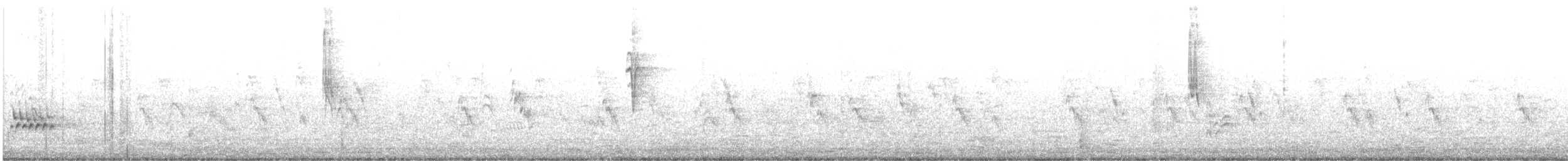 オジロツグミ - ML619675934