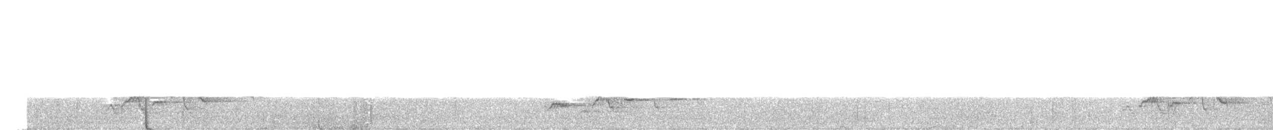 Дрізд-короткодзьоб Cвенсона - ML619677308