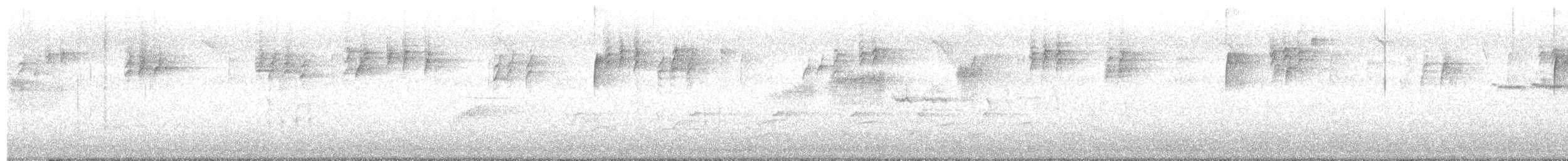 Paruline à gorge noire - ML619678671