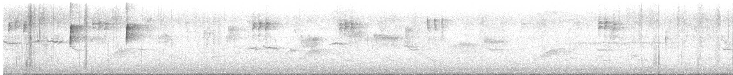 Paruline à gorge noire - ML619678683