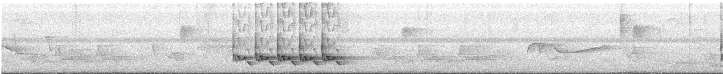 Carolina Wren - ML619678788