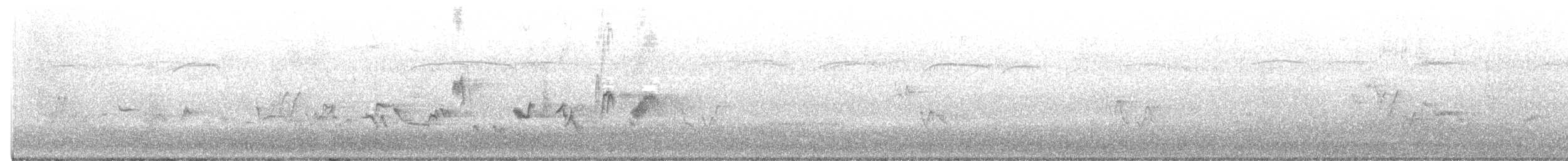 Oriole des vergers - ML619681689