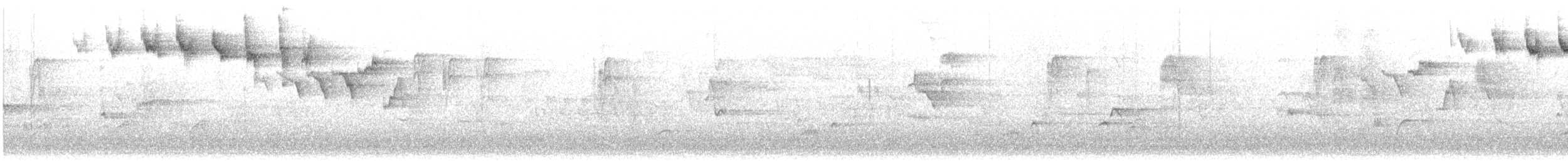 Paruline rayée - ML619681784