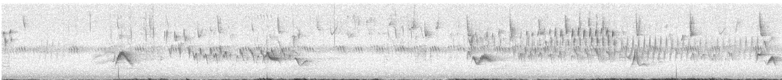 Weißstirnvireo - ML619682260