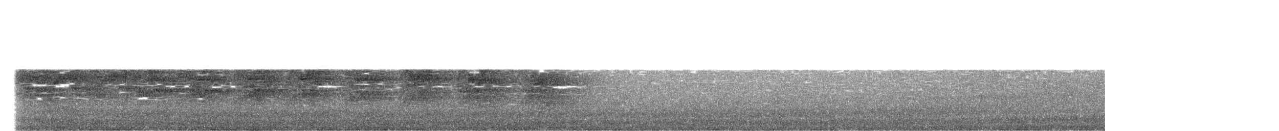 rorýs bělokrký - ML619683575