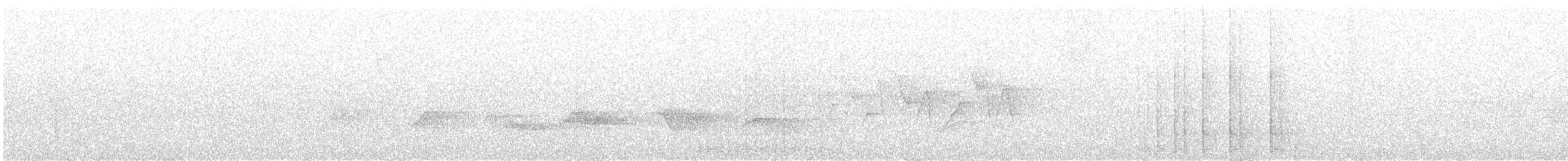 Canada Warbler - ML619685233