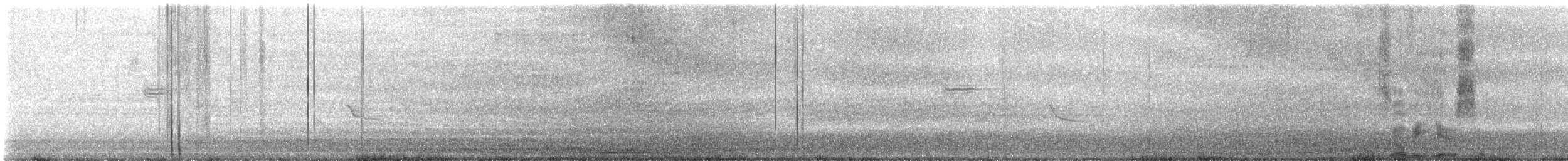 Oriole des vergers - ML619687414