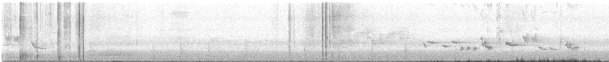 Orchard Oriole - ML619687427