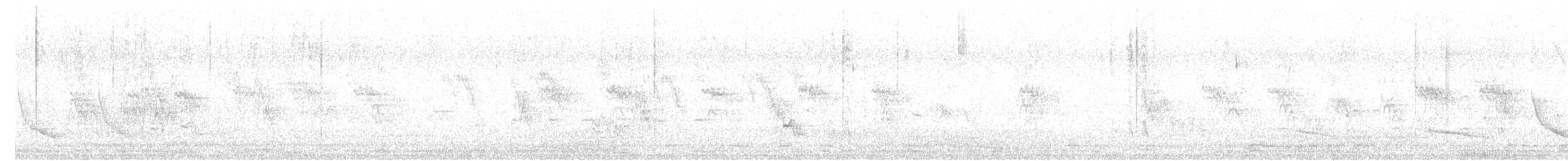 holoubek vlnkovaný - ML619688434