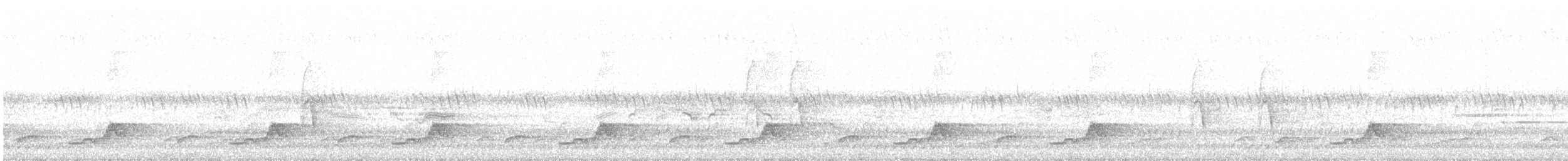 Schwarzkehl-Nachtschwalbe - ML619689090
