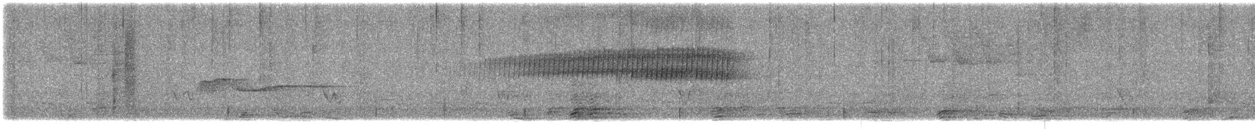 Hellbauch-Schnäppertyrann - ML619689269