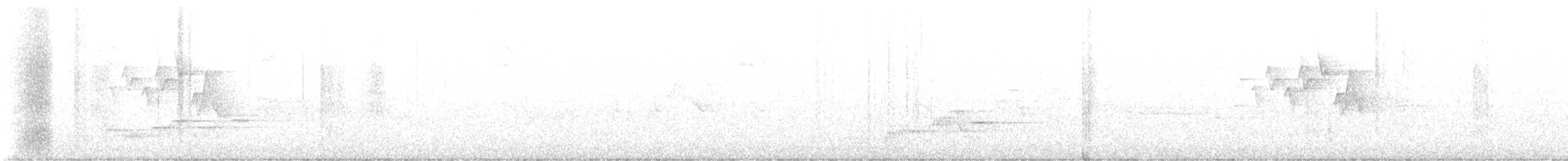 Swainson's Thrush - ML619689276
