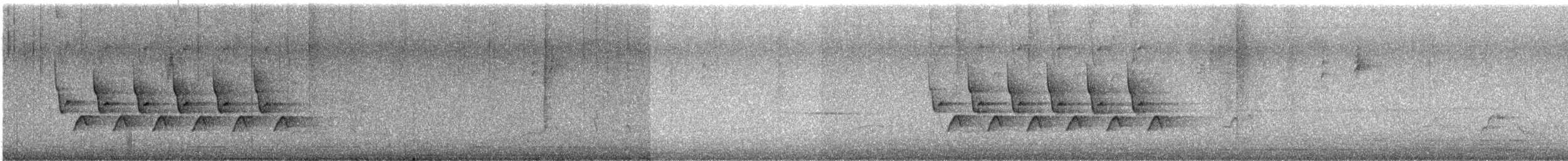 Поплітник каролінський - ML619689918