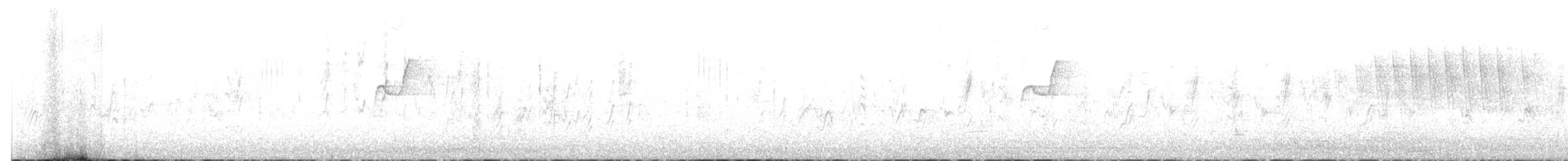 Малая вильсония - ML619690719