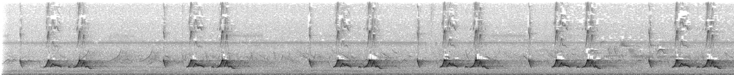 Carolinanachtschwalbe - ML619692316