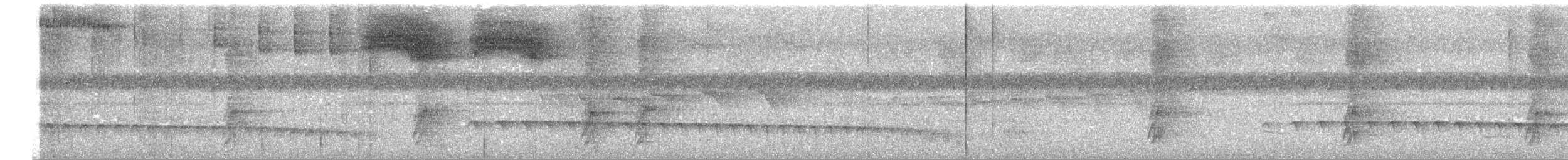 Weißstirn-Ameisenschnäpper - ML619692525