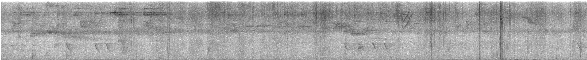 Белокрылый бекард - ML619692710