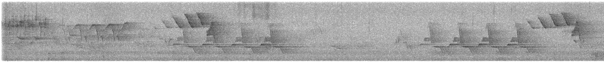 Каролинский крапивник - ML619692894