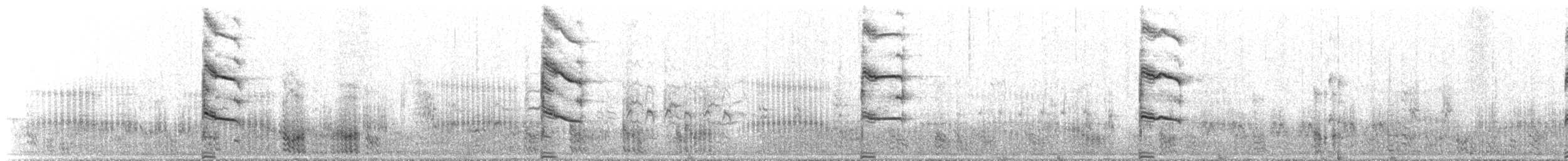 西方秧雞 - ML619692922