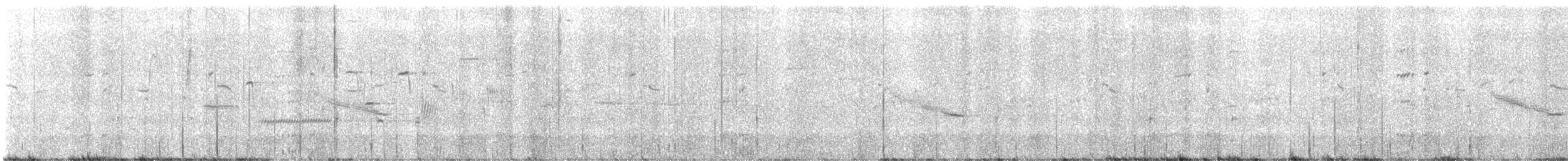 Дрізд-короткодзьоб плямистоволий - ML619693192