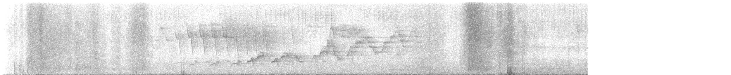 Дрізд-короткодзьоб Cвенсона - ML619693263